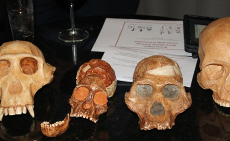 Revolutionary Fossil Discovery Rewrites Human Family Tree in Africa!