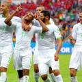 L'Afrique au Mondial Br?sil 2014