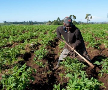 Secure Land Rights: Food Security Depends On It
