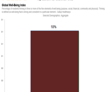 Launch of the FEEEDS® Index on Critical Issues for the African Electorate