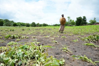 Floods in early 2015 were the worst in living memory in Malawi, washing away homes and food stocks, and ruining fertile land.