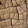 Conflicts And Droughts Might Prove Deadly in Africa