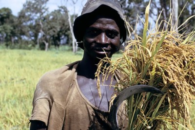 Senegal joins the Partnership for Action on Green Economy. Up to half a million people could be lifted out of poverty, and 30,000 new jobs created in Senegal, with a switch to a Green Economy, according to a new report from the United Nations Environment Programme (UNEP).