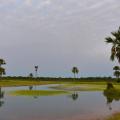 Village de Enampor en Casamance au S?n?gal
