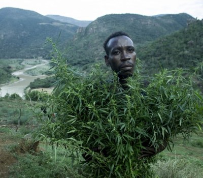 The Battle to Stop Marijuana Crop Spraying
