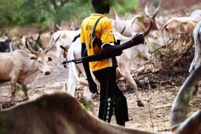 Fulani herdsman