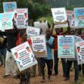 IN PHOTOS: Nigeria's Ekuri Forest is in Danger