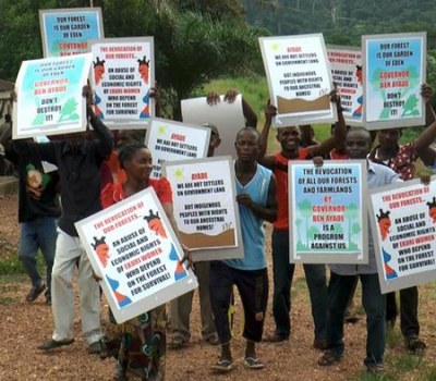 IN PHOTOS: Nigeria's Ekuri Forest is in Danger