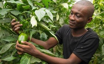AfDB Tackles Africa's Youth Unemployment Problem