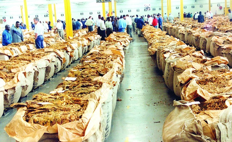 Zimbabwe: Tobacco Marketing Season Kicks Off