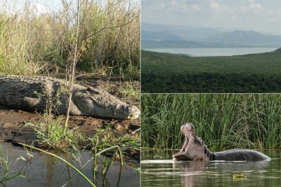 Lake Chamo, Ethiopia.