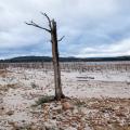 Cape Town's Water Crisis In Photos