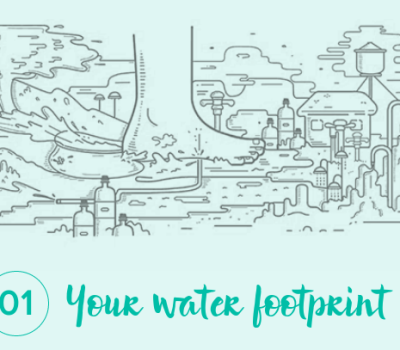 10 Ways to Save Water