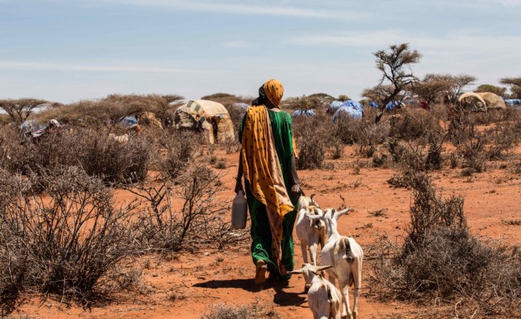 Climate Crisis Unleashes New Health Threats Across Africa; 'One Health' Solution Emerges