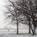 City Folk Play in the Snow in South Africa
