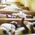 Shelter Saves 'Evil' Babies in Nigeria
