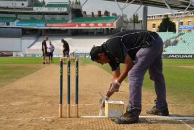 Cricket pitch (file photo).
