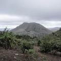 Daily Struggles of the Most Vulnerable in Malawi