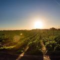 Protecting the Phillipi Aquifer