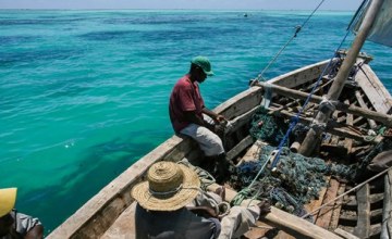 P&Atilde;&ordf;che - La BAD appelle &Atilde;&nbsp; une gouvernance transparente