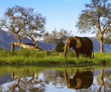 Reasons You Will Regret Not Going To Zimbabwe