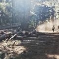 Photo Essay - Trouble Stalks the Wooded Hills Above Knynsa