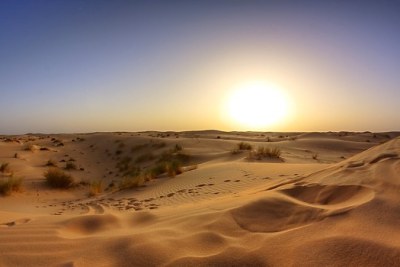 Réchauffement climatique