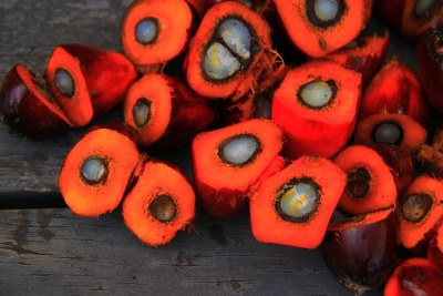 Palm oil is a type of vegetable oil made from the fruit of the Elaeis Guineensis tree, a palm tree native to parts of Africa.  (file photo).