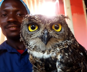 Mfuleni's Marvellous Pets