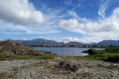 Princess Vlei, a wetland in Cape Town, South Africa (file photo).