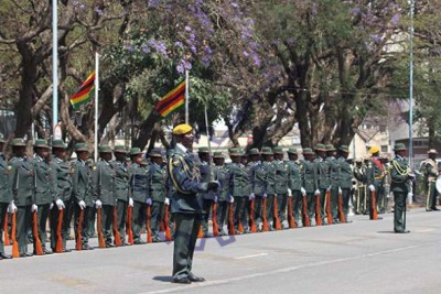 The Zimbabwe National Army (ZNA)