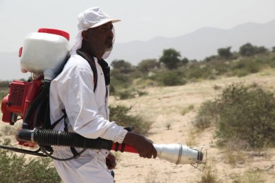An agricultural worker sprays biopesticides on young desert locusts in Awdal, Somalia, March 5, 2020.
