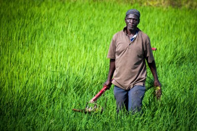 A smallholder farmer in northern Ghana (file photo).