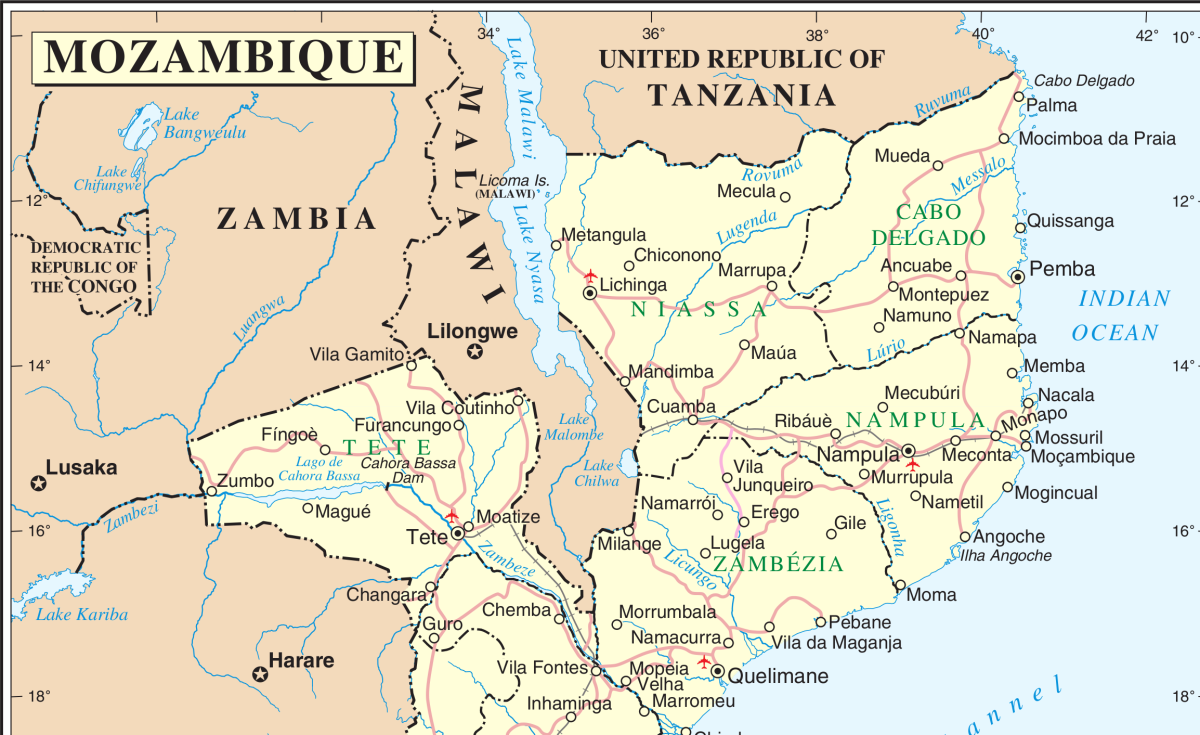 What Would it Take to Stabilise Mozambique's Cabo Delgado? - allAfrica.com
