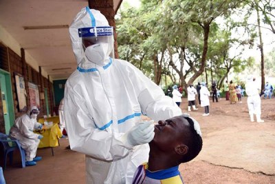 Testing for the novel coronavirus (file photo)