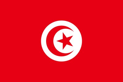 Tunisia flag (file photo).
