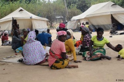 Violence in Cabo Delgado has forced hundreds to flee their homes.