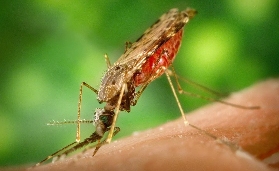 Africa: MMV Welcomes African Leaders' Call to Tackle Rising Chance of Antimalarial Drug Resistance thumbnail