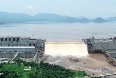 The Grand Ethiopian Renaissance Dam (Gerd), under construction since 2011, began holding back water after the the Blue Nile swelled during heavy rains in July.