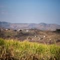 Covid-19 and Rural South Africa - The Good the Bad and the Ugly