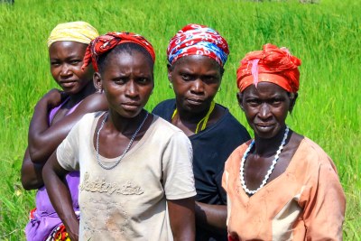 Farmers involved in projects from producer organizations, ADC, NINABA and FEPROBA in Kolda, South Senegal. An anticipated 80,000 smallholder farmers across 11 regions in Senegal will benefit from the COVID-19 Recovery and Resilience Agrifinance Project (CORRAP) as their resilience is strengthened and their resources are mobilized to produce in the next two agricultural campaigns.
