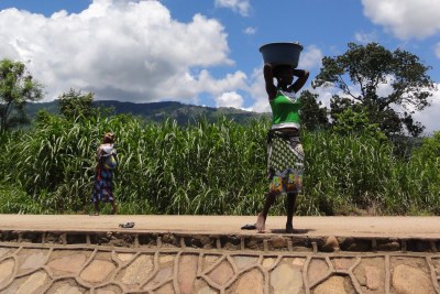 Drought in Africa will adversely impact the productivity of major cereal crops like these in Mozambique, says a report launched by the World Meteorological Organization.