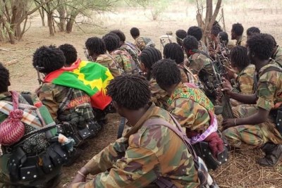 A group of armed fighters from the Oromo Liberation Army (OLA).