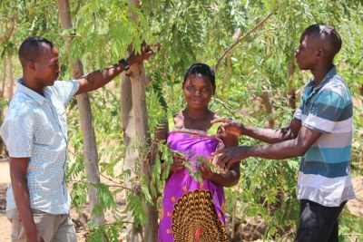 More than 50 youth advocacy groups make up the Kachindamoto Youth Network, which encourages young people to access sexual and reproductive health services such as condoms and other contraceptive methods to prevent teen pregnancy.