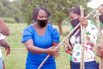 A practical session on cassava production