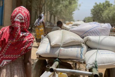 World Food Programme food distribution in the Tigray region (file photo).