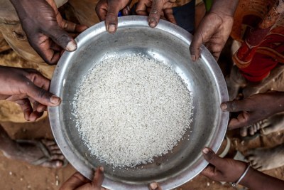 West Africa faces its worst food crisis in ten years, with over 27 million people already suffering from hunger (file photo).