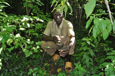 Village elder Wilson Towett with recently planted tree seedlings at the water source in Cheplanget in Kenya's Kericho County, on July 21, 2021.