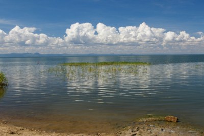 FAO, together with the government and with the financial support of GEF, is helping communities “bring back the fish” through better fisheries management and controls on illegal fishing, as well as activities that help the lakeside environment bounce back.