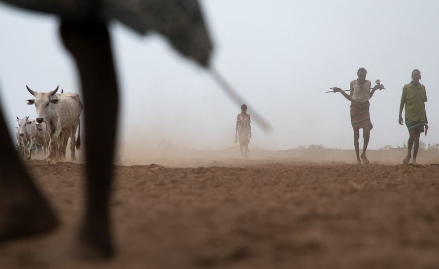 Ethiopia: Thousands Displaced by Flooding thumbnail